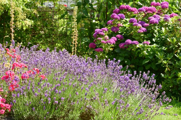 Gartenlandschaft - (c) R Herling.jpg